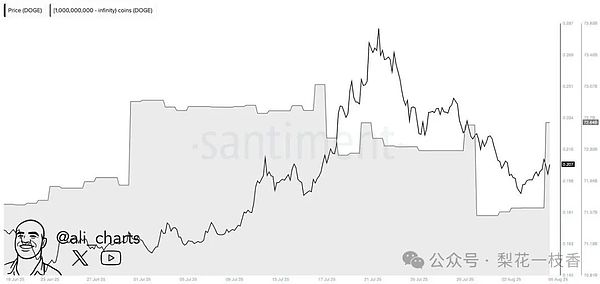 LINK暴涨背后的秘密：鲸鱼们为何疯狂加仓？