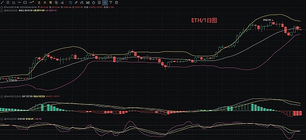 龙年最强IP横空出世，这次真的要起飞了？