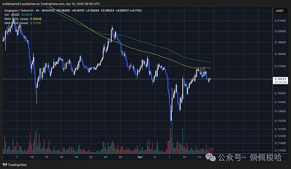 Web3宠物社交赛道迎来重磅玩家：Blockchain Capital豪掷千万押注PetCat