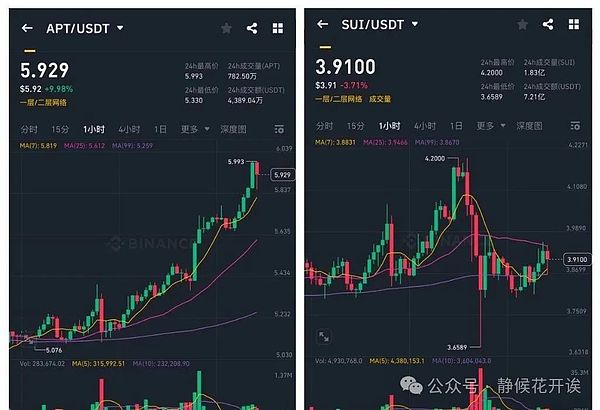 aelfUnion强势出击：为何他们成为TMRWDAO的最佳掌舵者?
