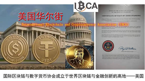 当狗狗币遇上500万持有者：Web3市场最新动态全解析