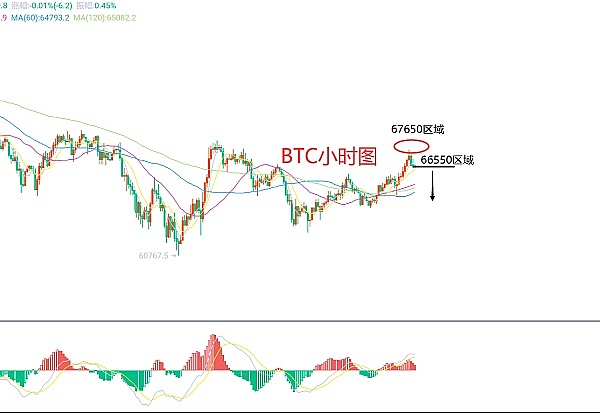 当TG Bot遇上加密货币：一场意料之外的土狗革命