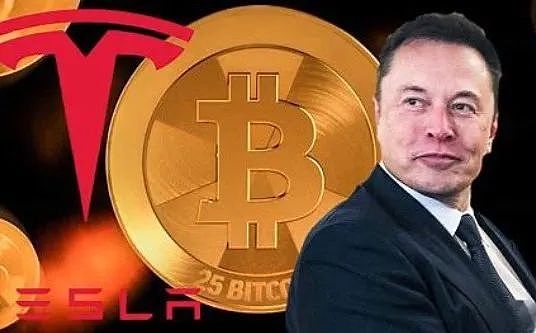 加密货币江湖：谁主沉浮？