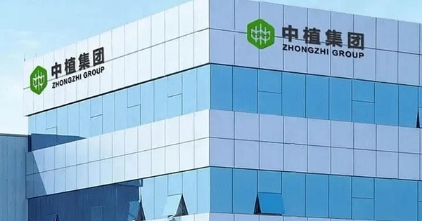 沉睡6年的比特币巨鲸突然苏醒：5630万美元资产异动引发市场猜测