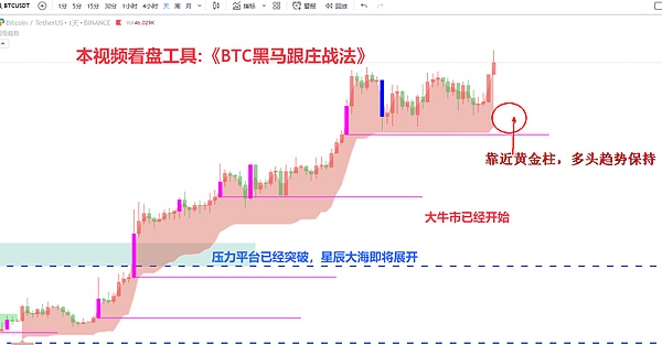 从《尼奥宠物》到Dragginz：这对传奇游戏夫妻的Web3冒险之旅