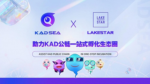 稳健之道：一把双刃剑的深度思考