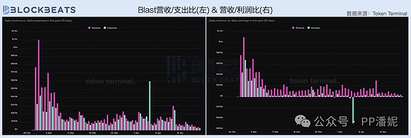 熊市中的逆袭者：波场生态的韧性成长记