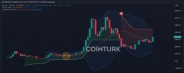 深度解析：NTRN能否创造下一个百倍神话？