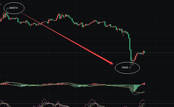 BTC期权市场暗流涌动：从萨尔瓦多的豪赌到华尔街的猎杀游戏