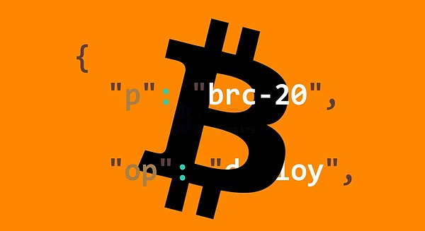 从币圈掘金到AI淘金：一家加密货币公司的华丽转身