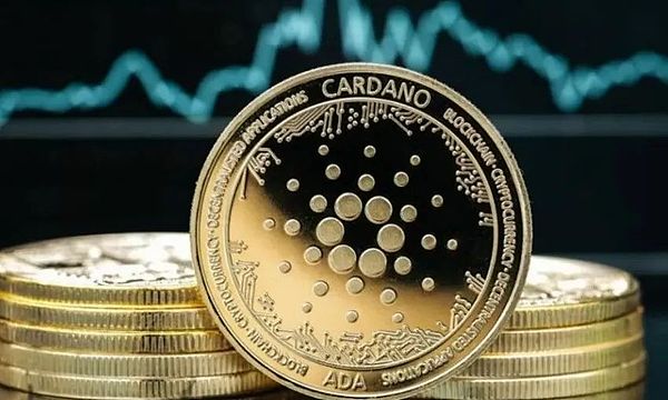 捷报频传：5000美金利润轻松入袋