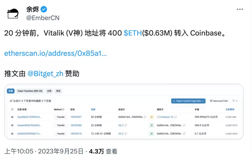 新手必看｜手把手教你玩转Metale的入门指南