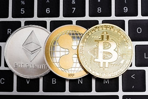 数字资产投资新选择：绿洲风投基金的财富密码