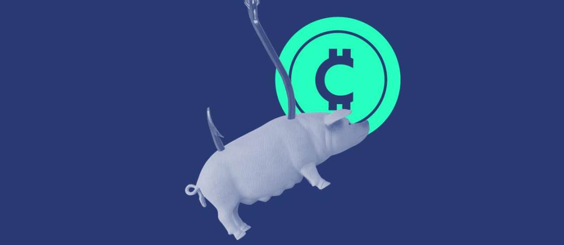 揭秘COTI代币：这个低调的黑马凭什么冲上热搜榜？